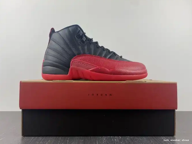 Rep LUCY (2016) Jordan Retro Game Flu 12 130690-002 0422